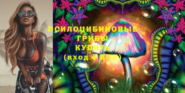 гидропоника Аркадак